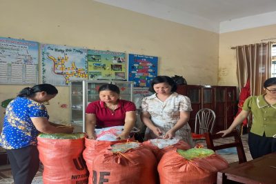 Trường Tiểu Học Trực Thuận quyên góp sách vở cho học sinh tỉnh Lào Cai